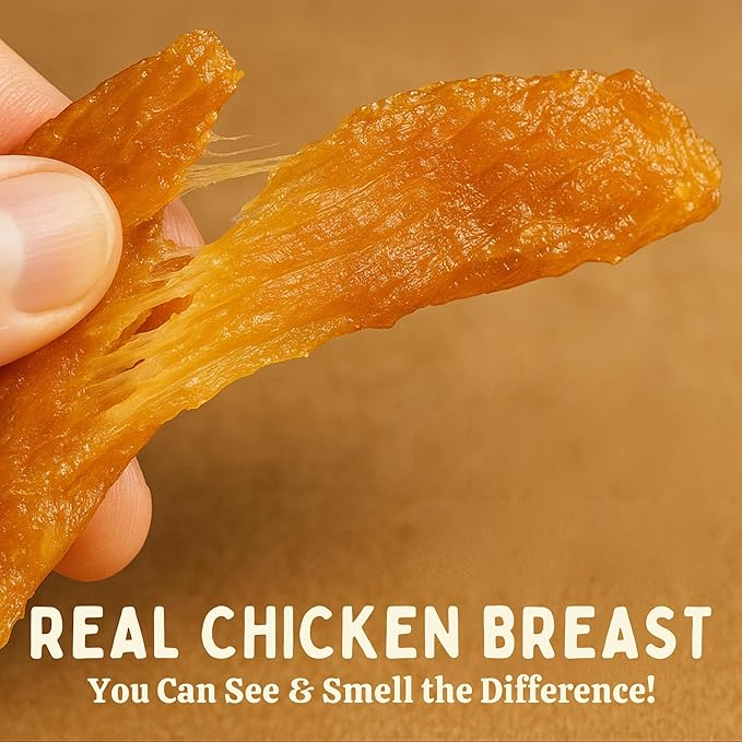 Chicken Jerky Dog Treat -Turmeric Infused Natural Chicken Strips, Single Ingredient Healthy Dog Treats, USA Made Gently Dried High Protein Snacks With No Artificial Additives (10 Oz - 283g)