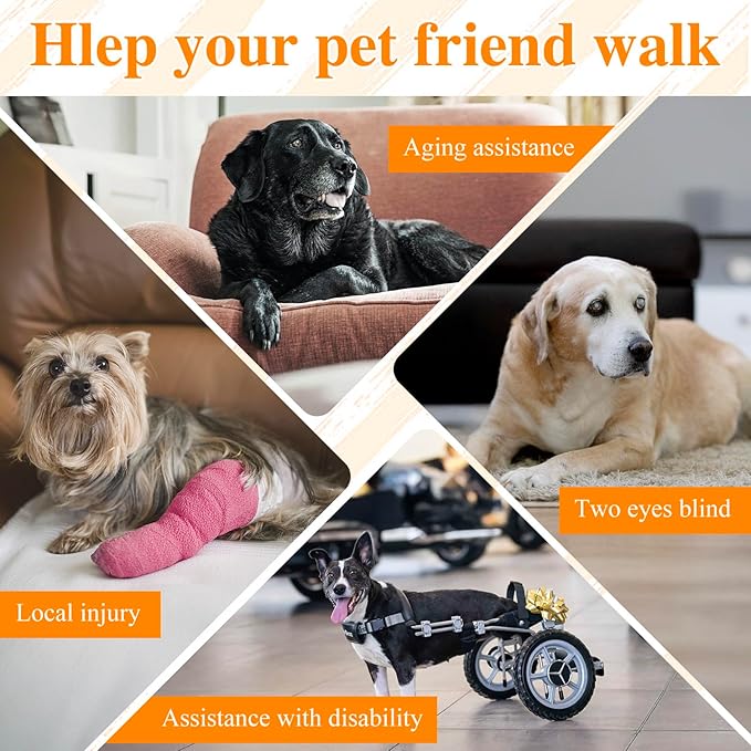 Dog Lift Harness, Dog Support & Recovery Sling for Full-Body & Hind/Front Leg – Pee-Able Design for Large/Medium Dogs – All-in-One Ideal Assistance for Senior, Disabled, Arthritic & ACL Canines (L)
