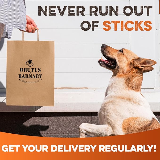 BRUTUS & BARNABY 6 Inch Bully Sticks for Dogs (10 Count) - Natural Grass-Fed Beef Chew Sticks, Odor Free, Single Ingredient, Fully Digestible, Rawhide Free - for Small, Medium & Large Dogs