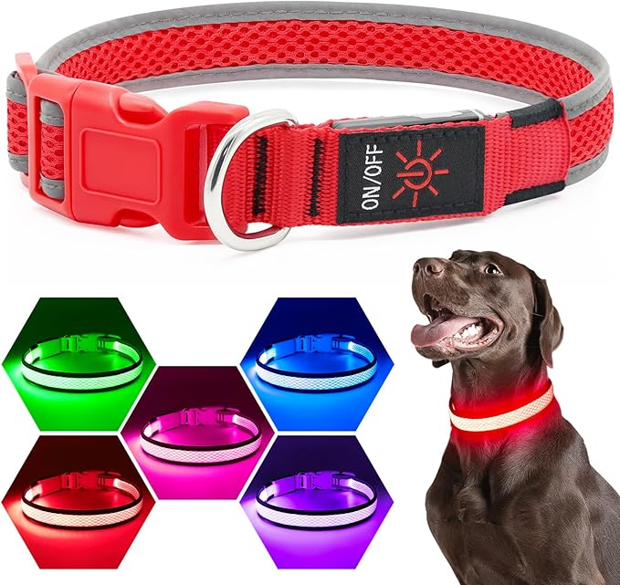 Flashseen LED Dog Collar, Light Up Dog Collar USB Rechargeable, Brightest Dog Lights for Night Walking, Adjustable Dog Collar Light for Dog Safety (Red, Medium)