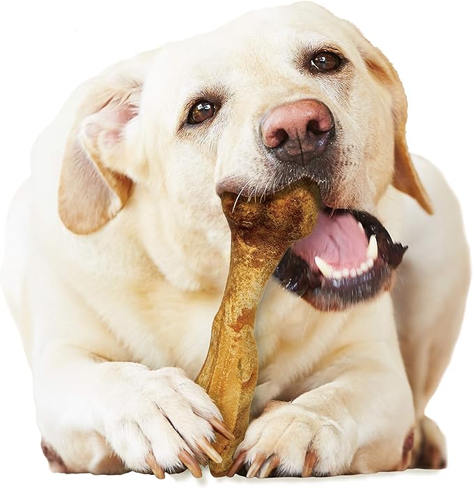 Nylabone Healthy Edibles Broth Bone Natural Dog Chews Long Lasting Treats Ham Flavor Large/Giant - Up to 50 lbs. (1 Count) (Pack of 2)