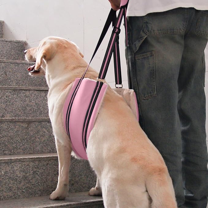 AIITLE Dog Carrier Sling Medium - Hind Leg Support Sling with Hip Padding, Rehab Mobility Aid for Senior/Disabled Dogs, Orthopedic Injury & ACL Surgery Recovery (Pink, M)