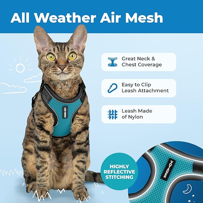 Voyager Escape-Proof Step-in Lock Cat Harness & 5ft Neoprene-Handle Leash Set All-Weather Mesh with Reflective Stitching for Small to Large Cats by Best Pet Supplies, Black Trim-Turquoise (327), XS