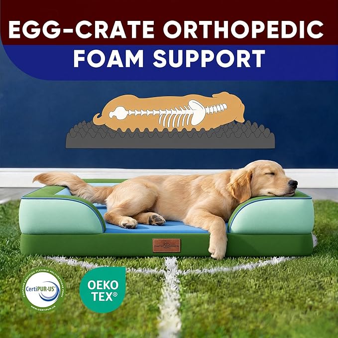 Comfort Expression Orthopedic Dog Bed for Large Dogs 36x27 Inch, Waterproof Egg Crate Foam Large Pet Bed with Removable Bolsters, Dog Couch with Washable Cover & Non-Slip Bottom, Boston