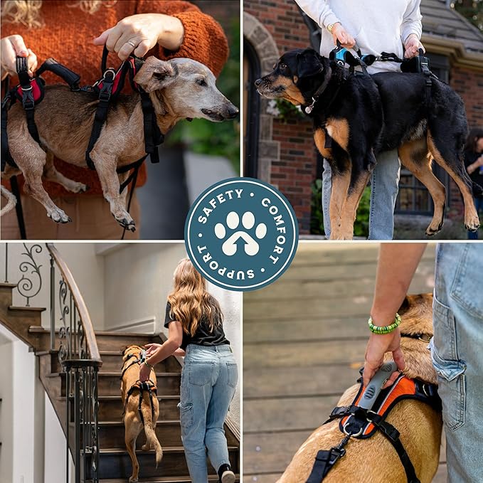 Help 'Em Up® - Dog Lift Harness│ Adjustable Lifting Harness for Dogs │ Full Body Support, Rear Leg Support (U-Band, Medium)