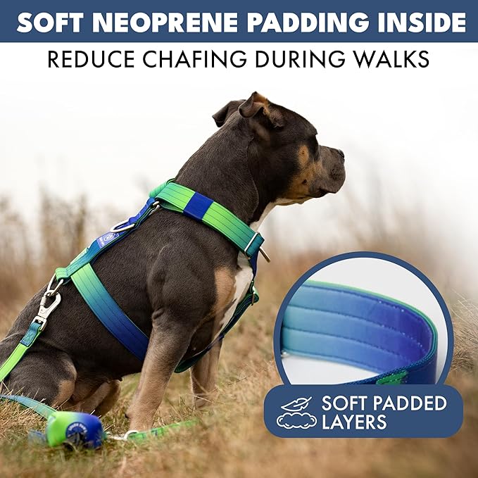 Spark Paws No Pull Dog Harness with Handle for Large Dogs, Heavy Duty Dog Harness for Big Strong Breeds, Adjustable, Y Shaped Padded Halter Design with Front Clip - Lime Wave - L