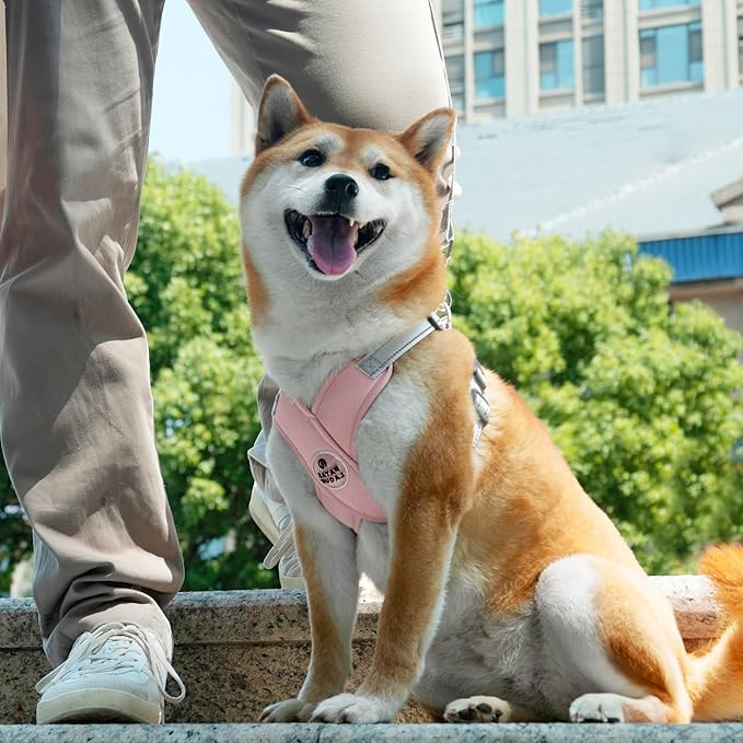 Patas Lague Dog Harness with Leash Set Adjustable Soft Padded Step-in Dog Vest No Choke No Pull Reflective for Small Pets with Poop Bags and Dispenser, Solid and No-chew, Pink XS
