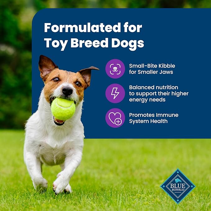 Blue Buffalo Life Protection Formula Toy Breed Adult Dry Dog Food, Supports High Energy Needs, Made with Natural Ingredients, Chicken & Brown Rice Recipe, 4-lb Bag