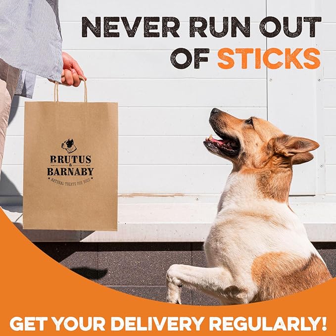 BRUTUS & BARNABY Dehydrated Lung Dog & Cat Treats, 12oz – USA Organ Meat Stick (Beef & Turkey Lung, Liver), High Protein Pet Snack