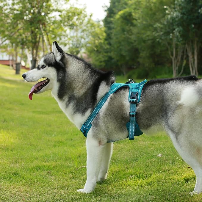 Voyager Dog Harness Dual Leash Attachment No-Pull Control Adjustable Soft but Strong Pet Harness for Medium and Large Dogs with 3M Reflective Technology, Leash Set Turquoise Nylon, XL (Chest: 28-37")