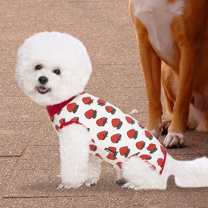 2 Packs Pet Dog Recovery Onesie Suit for Dogs Cats After Surgery,Dog Abdominal Wounds Bandages Cone E-Collar Alternative. (Pink, XXL)