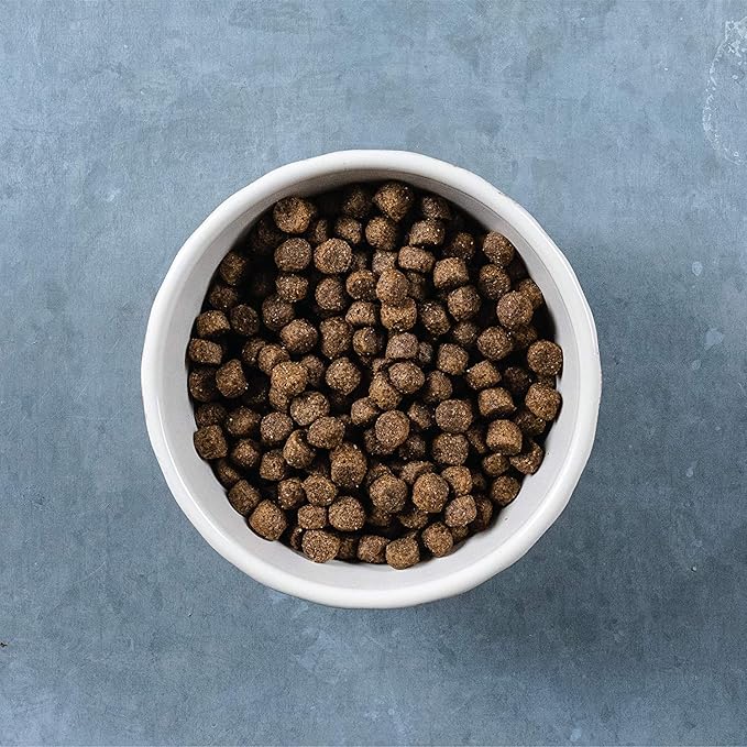 Evolve Classics Lamb and Brown Rice Recipe Dog Food, 3.75lb