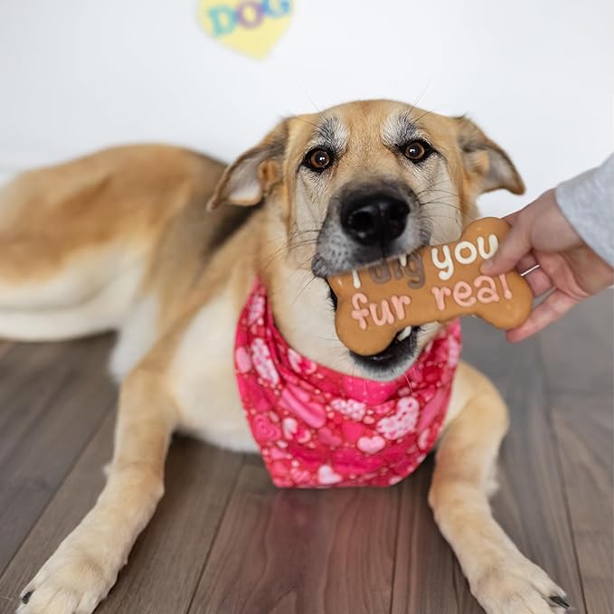 Wufers Dog Cookie – I Dig You Fur Real Bone – Decorated Crunchy Dog Cookie Bone, Great Gift or Treat to Show Your Love