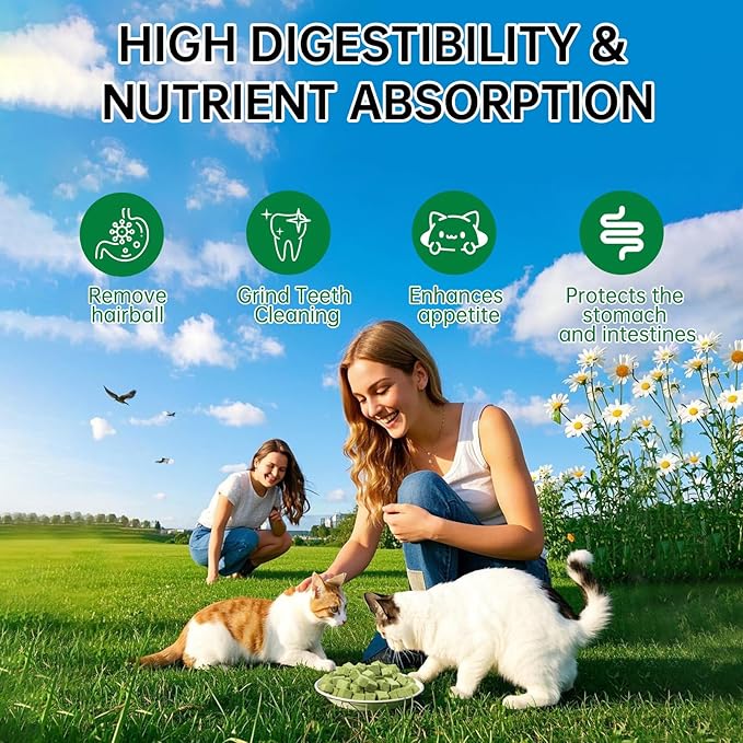 Freeze-Dried Cat Grass Dental Treats - Natural Teeth Cleaning Chews,Hairball Control,Grain-Free Edible Snacks for Indoor Cats & Kittens (80g)