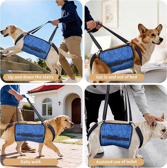 Dog Lift Harness for Large Dogs, Dog Sling Carrier with Lifting Handle for Mobility Assistance, Senior Dogs with Arthritis, Hip Dysplasia & Post-Surgery Recovery, XL