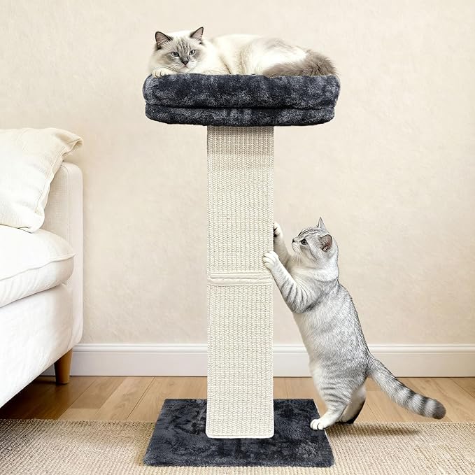 AGYM Cat Scratching Post, 32”Cat Scratcher with Large Plush Perch, Sisal & Carpet Scratching Post, Vertical Posts with Elevated Bed for Indoor Cats, Removable& Washable Cover, Darkgrey
