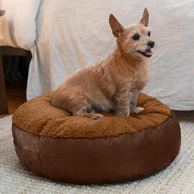 Jaxx Robbi Dog Bed Bean Bag – Round Bed with Machine Washable Cover and No-Slip Base - Supportive Memory Foam for Senior Dogs & Joint Pain Relief - Ultimate Comfort & Luxury - Small, Caramel/Chocolate