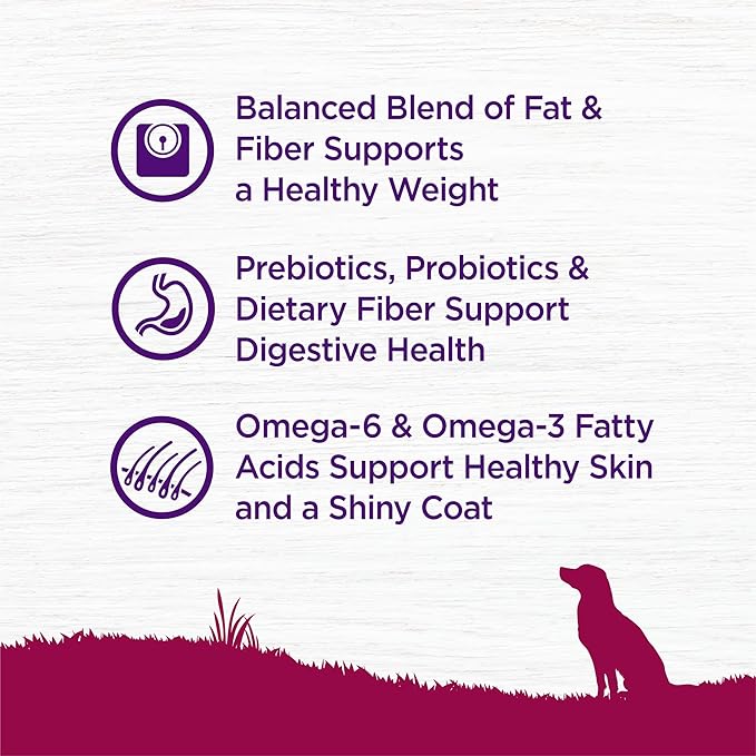 Wellness Complete Health Dry Dog Food, Small Breed, Wholesome Grains, Natural, Healthy Weight Turkey & Brown Rice Recipe, (4-Pound Bag)