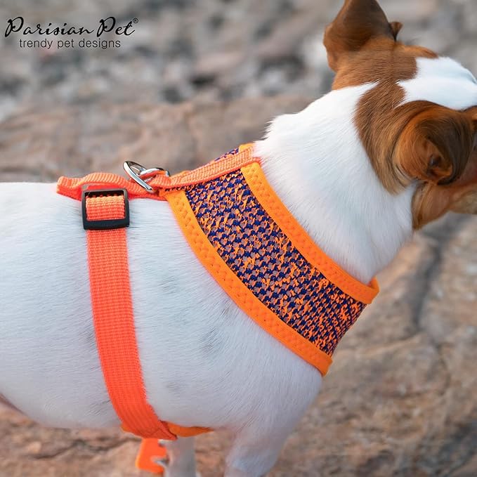 Parisian Pet Dog Harness - Breathable Mesh Orange Blue No Pull Puppy Harness with Leash Ring - Adjustable Harnesses for Dogs - Soft Padded Step-in Pet Vest - Lightweight Vests for Medium Sized Dogs