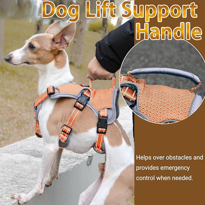BELPRO Multi-Use Support Dog Harness, Escape Proof No Pull Reflective Adjustable Vest with Durable Handle, Dog Walking Harness for Big/Active Dogs (Orange, S)