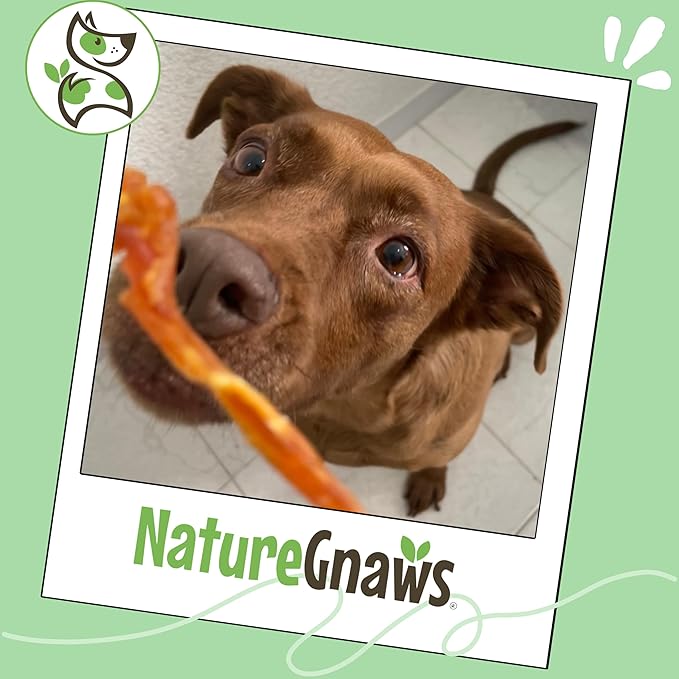 Nature Gnaws USA Turkey Tendons for Dogs (4oz) - Delicious Grain Free Reward Snack for Small, Medium & Large Breeds - Premium Natural Dog Chew Treats