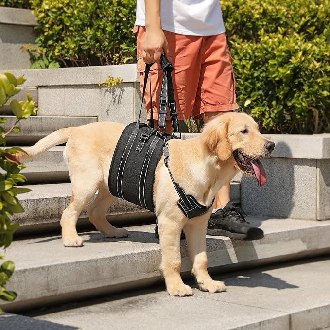 NOYAL Dog Lift Harness Sling - Adjustable Pet Carrier for Senior Dogs with Arthritis Joint Injuries, Emergency Support Rehabilitation Aid for Nail Trimming, Stairs Assistance