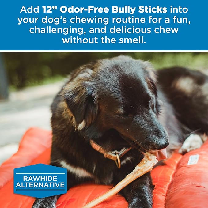 Best Bully Sticks 12 Inch Odor-Free Bully Sticks for Dogs - 24 Count (Pack of 1) - Bulk Bag, Natural Grass-Fed Beef, Easily Digestible, No Grain or Rawhide - Large Breeds