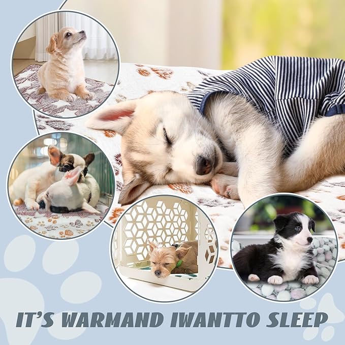 YedsIntu 6 Pcs Washable Guinea Pig Blankets Absorbent Animal Fleece Bedding Waterproof Cage Liners Reusable Pet Pee Pad Sleep Mat Pad Cover for Hamster Ferret Rabbit Chinchilla Hedgehog (20"x30")