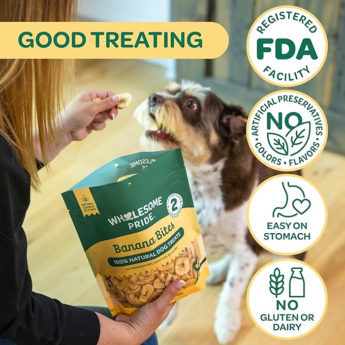 Wholesome Pride Banana Bites Dog Treats – 2-Ingredient Banana Chips for Dogs, Grain-Free, Banana & Coconut Oil, 16 oz