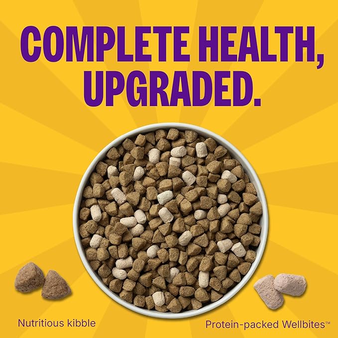 Wellness Complete Health+ Dry Dog Food Chicken & Oatmeal Recipe (4 Pound Bag)