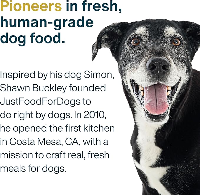 JustFoodForDogs Frozen Fresh Dog Food Toppers and Meals, Human Grade, Balanced Fresh Pet Meal or Topper, No Preservatives, Limited Ingredient Recipe, Turkey & Whole Wheat Macaroni 18 oz - 7 Pack