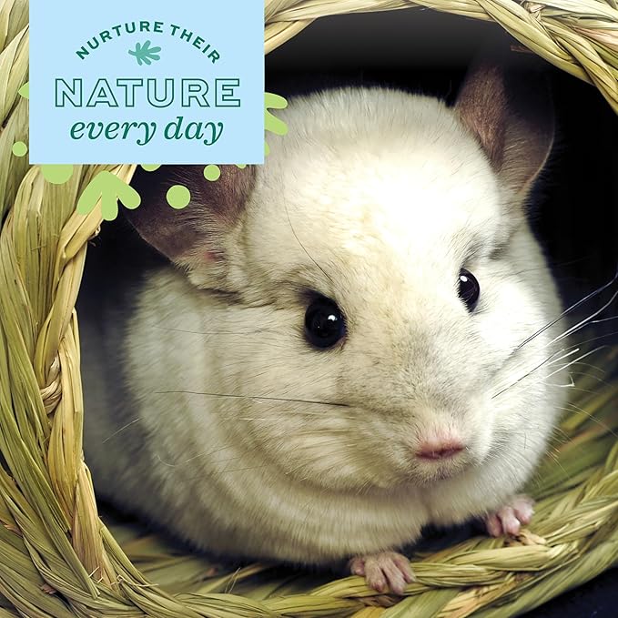 Oxbow Timothy Hay Bungalow, Rabbit & Guinea Pig Hideout, Edible & Hand-Woven Bunny House, No Wires or String, Small Pet Accessories, for Rabbits, Guinea Pigs, Chinchillas & Rats, Medium
