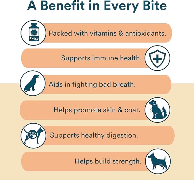Benefit Biscuits, All Natural Dog Treats, Certified Vegan, Non GMO, Wheat Free, Healthy Dog Biscuits, Made in USA (Pumpkin, 7oz Bag)