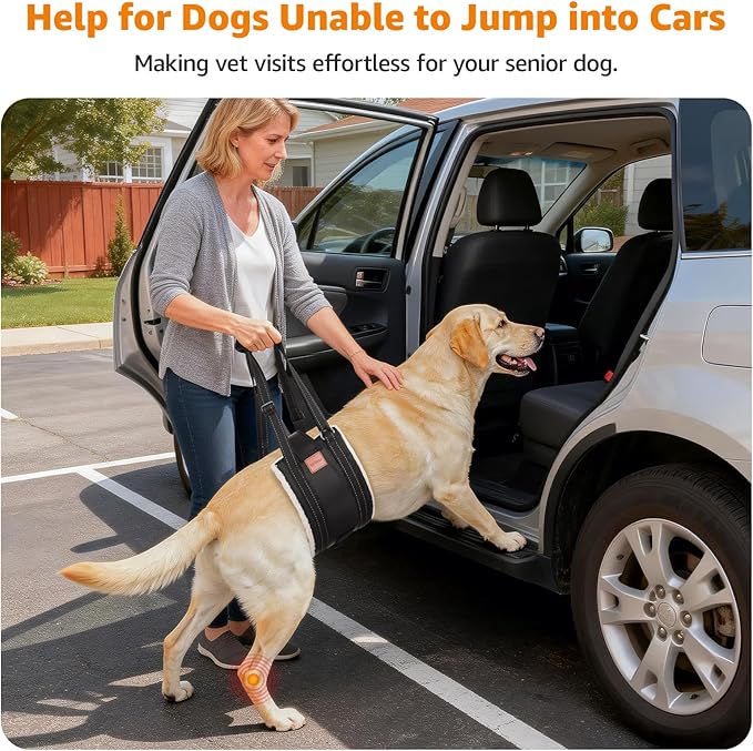 LOOBANI Dog Lift Harness for Back Legs, Portable Dog Sling for Large Dogs Hind Leg Support, Comfortable Supports Helps Canie Hip Arthritis K9 Cruciate Ligament Rehabilitation