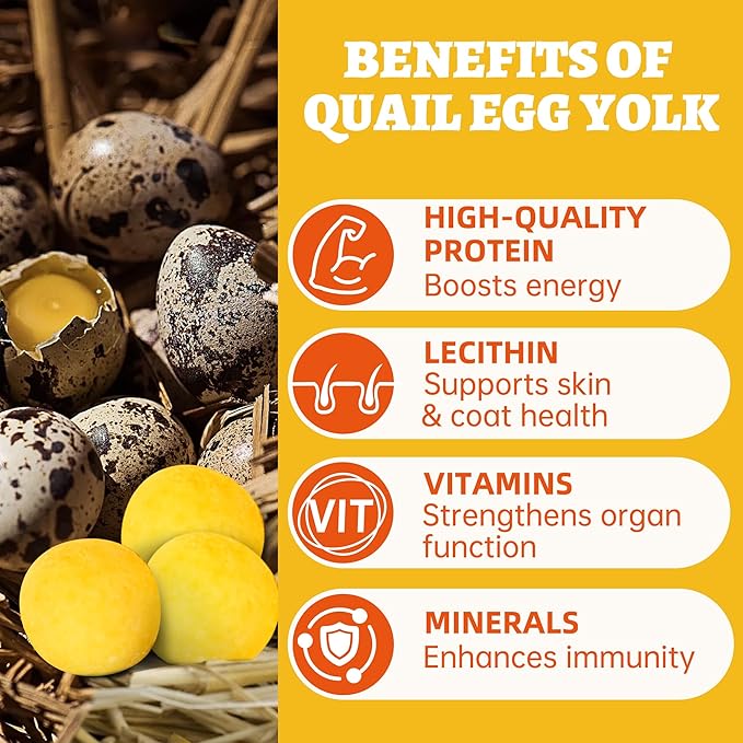 Wellix Freeze-Dried Treats for Dogs and Cats - High-Protein Quail Egg Yolk Freeze Dried Cat Treats for Skin&Coat Health - Delicious Training Snacks for Pets 9oz