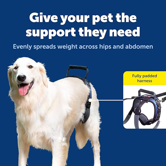 PetSafe CareLift Rear Support Harness - Lifting Aid with Handle and Shoulder Strap - Fits Waist Measuring 27-37 inches, Dog Weight 70lb-130lb, Large, Black