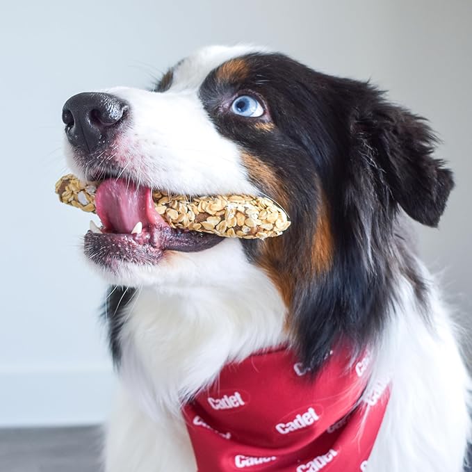 Cadet Chewalicious Layered 'N Dipped with Oats, Rawhide-Free Dog Chews, Limited-Ingredient & Long-Lasting Chew Treats for Dogs, Made with Real Chicken, Oat Flavor, 2 Pack