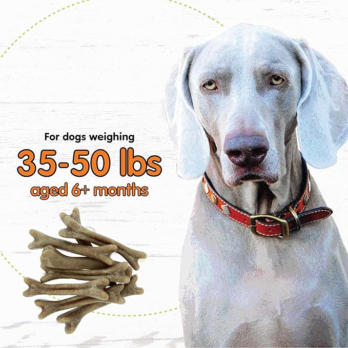 Fido - Super Breath Dental Care Bones for Dogs - 8 Count Medium Dog Dental Treats for Medium Dogs (Made in USA) - Tasty Dog Dental Chews Help Reduce Plaque, Tartar Buildup, and Freshens Breath