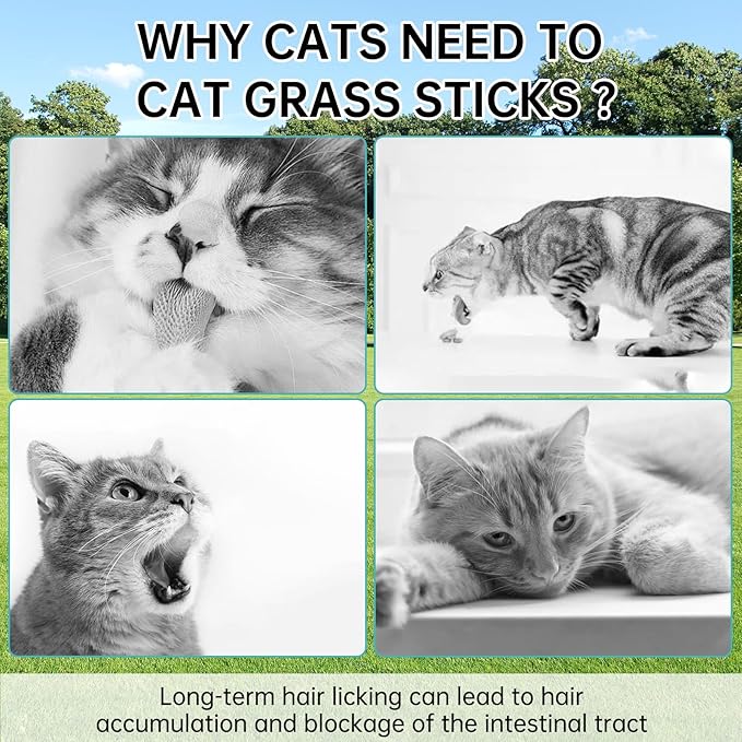 Cat Grass Teething Stick Treats - Natural Freeze Dried Pet Snack for Cat Chew Teeth Cleaning & Hairball Removal (75g