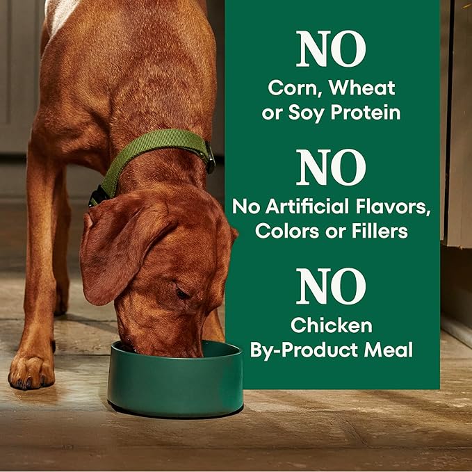 Nutro Natural Choice Dry Dog Food, Adult Dog Food Dry Chicken and Brown Rice Recipe, 5 lbs.