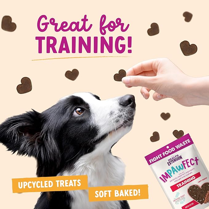 Health Extension Impawfect Dog Training Treats, 4oz (113g), Bacon – Made with Rescued Ingredients, Sustainable & Perfect for Training
