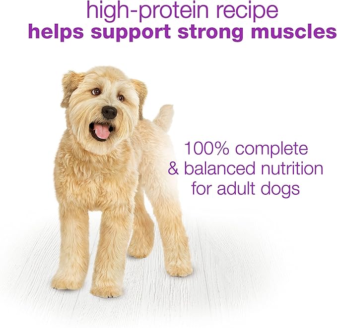 Beneful Purina Wet Dog Food, Chopped Blends with Salmon - (8) 10 oz. Tubs (Pack of 2)