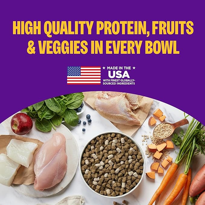 Wellness Complete Health+ Dry Dog Food Chicken & Oatmeal Recipe (4 Pound Bag)