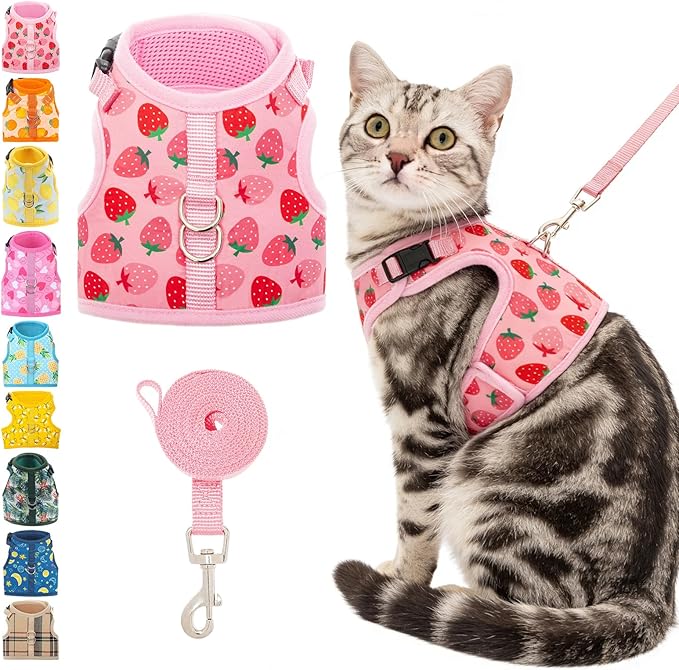 BINGPET Cat Harness and Leash Set Escape Proof, Fashionable Adjustable Mesh Harness for Walking, Soft Cute Breathable Easy Control Cat Vest for Kitten Puppy Small Medium Large Cats