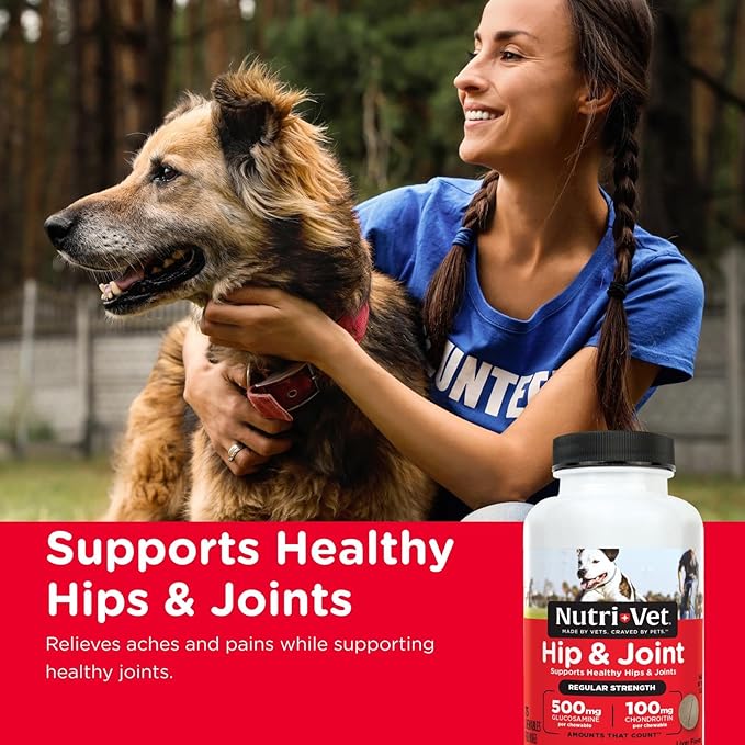 Nutri-Vet Hip & Joint Regular Strength Joint Dog Supplements, Formulated with Glucosamine Chondroitin, Pet Supplies, Hip Supplement for Dogs, Glucosamine Chews, Puppy Essentials, 75 Count Chewables