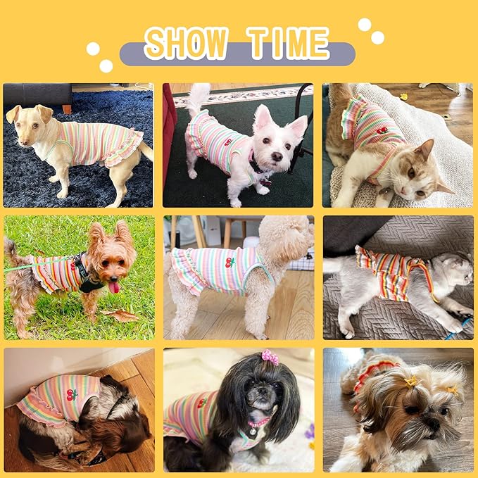 Cute Dog Dress for Small Dogs Girl Birthday Puppy Clothes Spring Summer Dog Outfits Rainbow Colorful Striped Cherry Princess Pet Tutu Skirt Doggie Cat Chihuahua Yorkies Dresses