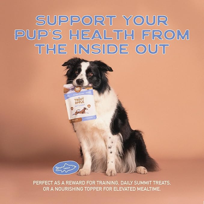 Smart Cookie All Natural Soft Dog Treats - Trout & Apple - Healthy Dog Treats for Allergies, Sensitive Stomachs - Chewy, Grain Free, Human-Grade, Made in The USA - 5oz Bag