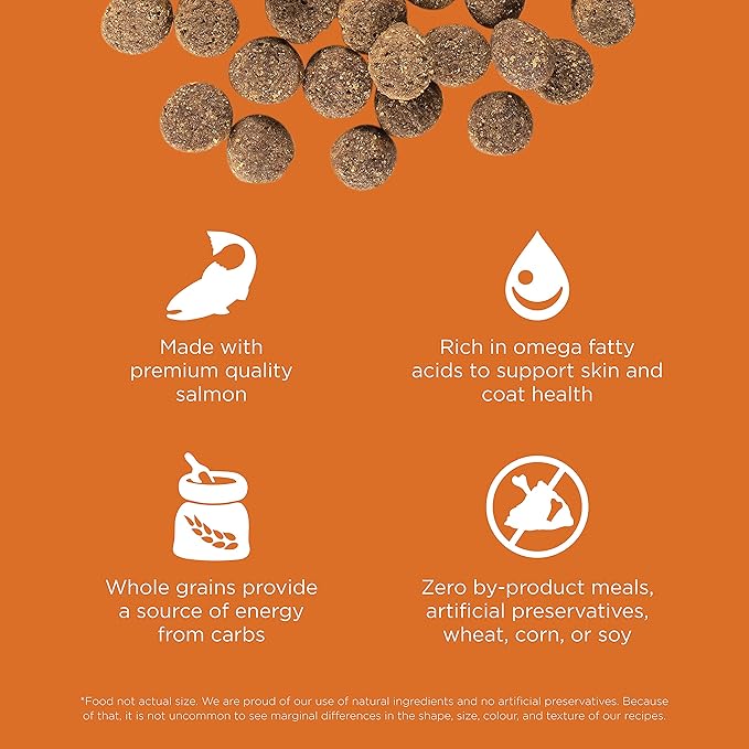 Go! Solutions Skin + Coat Care Salmon Dry Dog Food with Grains, Chicken-Free, Healthy Kibble with Omega-3s & 6s for Soft, Shiny Fur, for Puppies, Adults, & Seniors, 3.5 lb Bag
