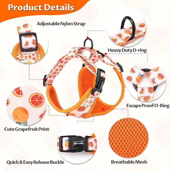 Dog Cat Harness and Leash Set, Puppia Soft Mesh Padded and Adjustable Puppy Vest Cute Dog Clothes Escape Proof Easy Walk Pet Accessories (Grapefruit, L (Neck 15.7"-21"; Chest 19.6"-28.3"))
