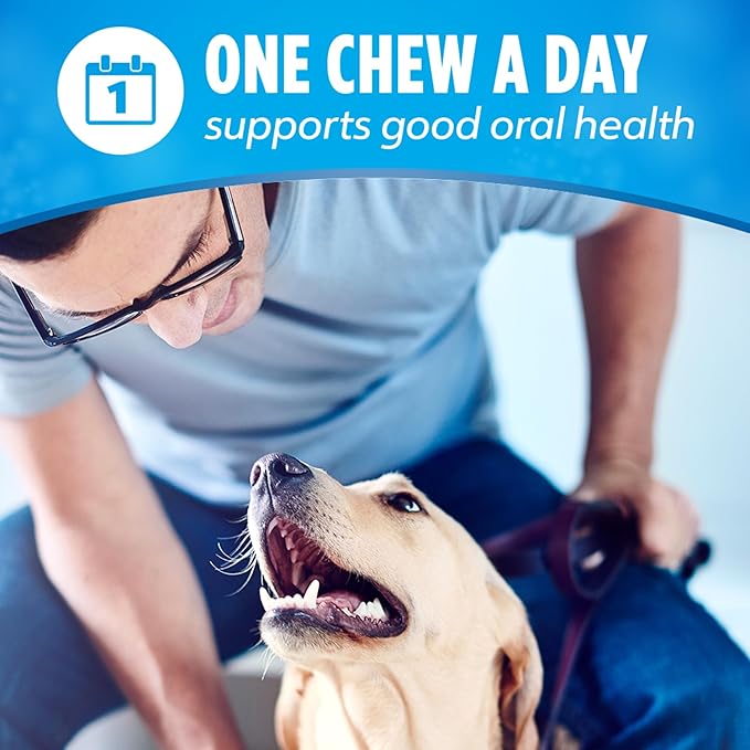 Dentalife Daily Oral Care Dog Treats for Small and Medium Dogs,Chewy Dental Treat to Freshen Breath and Fight Tartar,Chicken Flavor,35.7 oz. Each,94 Chews-2 x 47 ct. Pouch,94 Count (Pack of 2)